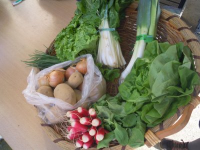 panier proposé à la vente